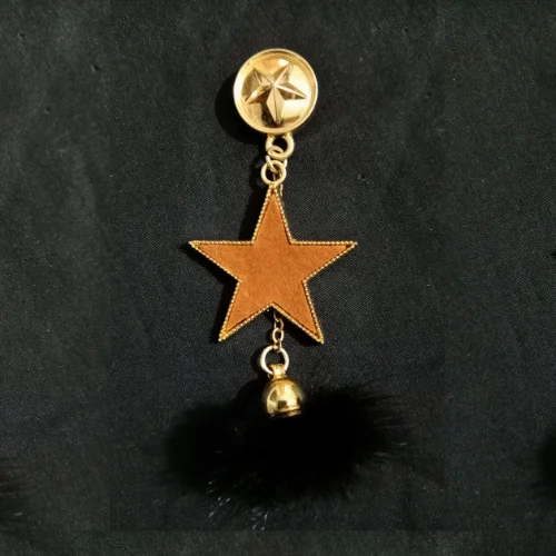 Golden Star with Feather Designer Brooch