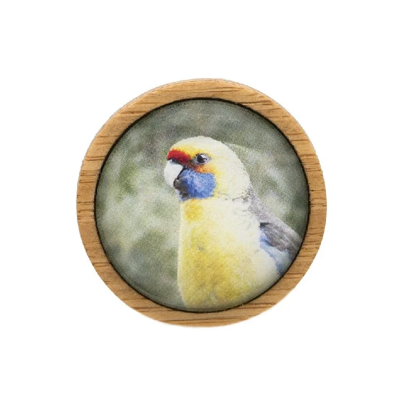 Green Rosella - Brooch